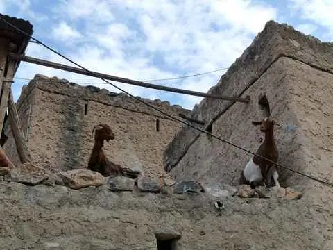 صورة بلاد سيت