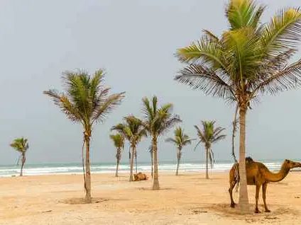 صورة شاطئ صحار