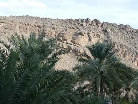 صورة مسفاة الأبريين