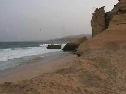 صورة محمية السلاحف برأس الجنز