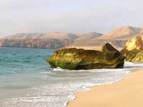صورة شاطئ السلاحف (رأس الجنز)