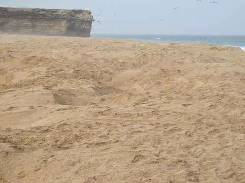 صورة محمية السلاحف برأس الجنز