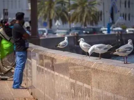 صورة كورنيش مطرح