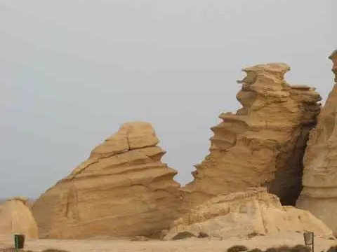 صورة محمية السلاحف برأس الجنز
