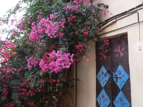 صورة مسفاة الأبريين