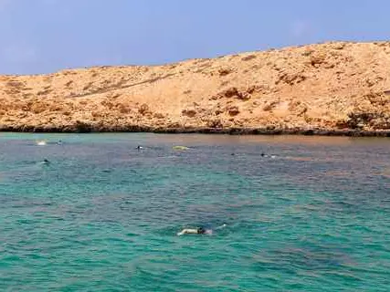 صورة محمية جزر الديمانيات الطبيعية
