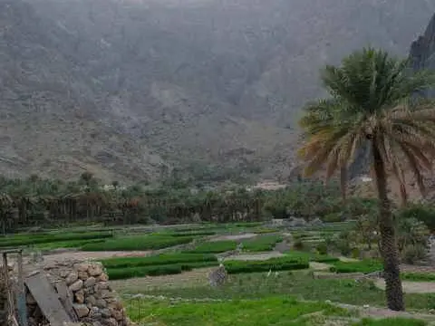 صورة بلاد سيت