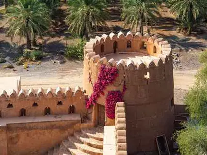 صورة قلعة جبرين