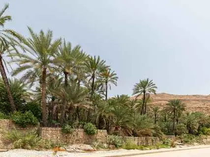 صورة وادي بني خالد