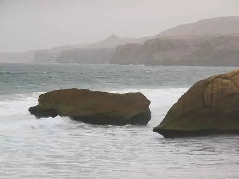 صورة محمية السلاحف برأس الجنز
