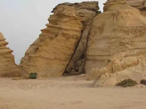 صورة محمية السلاحف برأس الجنز