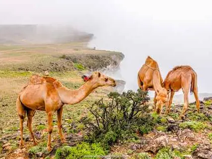 صورة نقطة مشاهدة جبل سمحان