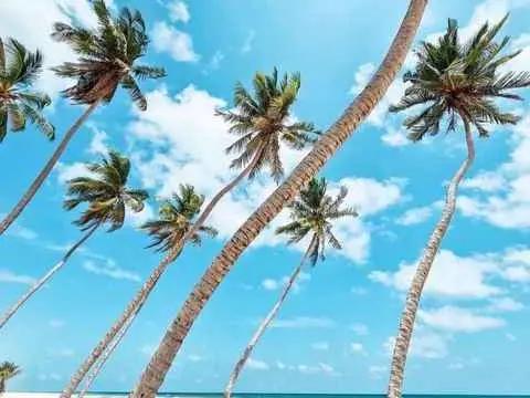 صورة شاطئ الدهاريز