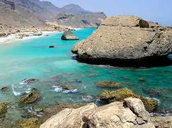 صورة شاطئ الفزايح