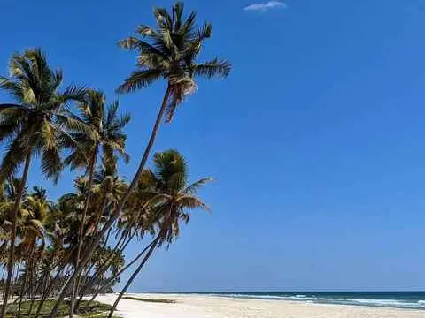 صورة شاطئ الدهاريز