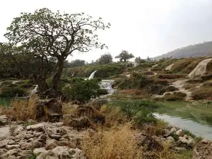 صورة وادي دربات