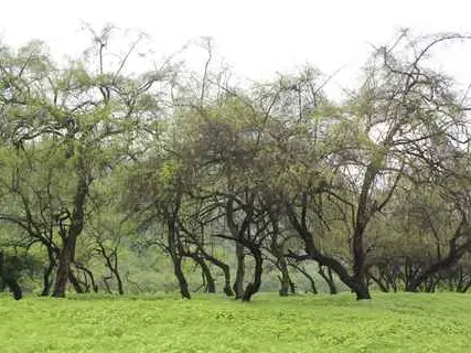 صورة وادي دربات