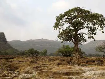صورة وادي دربات