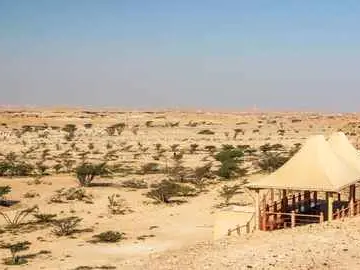 صورة وادي دوكة