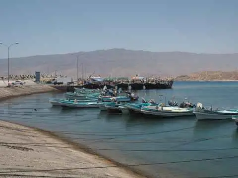 صورة مرباط