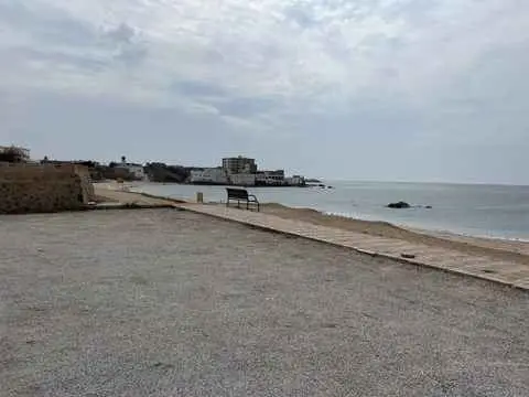 صورة مرباط