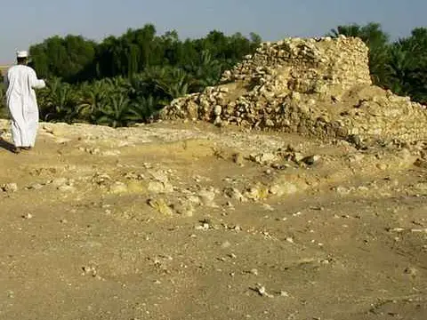 صورة أوبار (شِصر)
