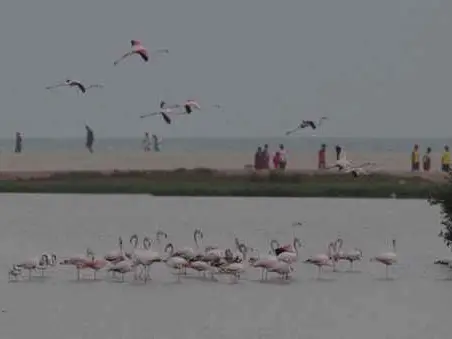 صورة خيران صلالة (خور الشرق)