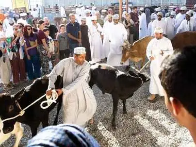 Main tour image for Authentic Nizwa & Manah Experience – 3 Days with a Local Omani Guide