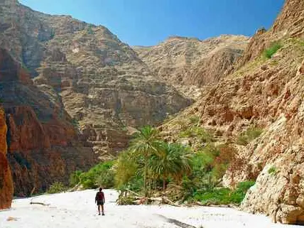 الصورة الرئيسية للجولة جولة مغامرات ووادي شاب وعجائب الطبيعة
