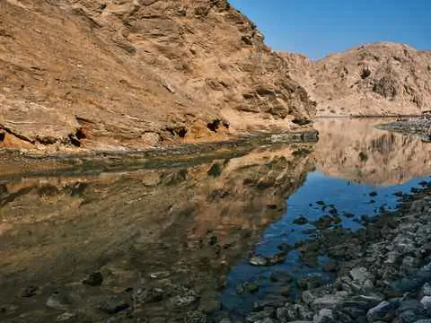 صورة ينكت
