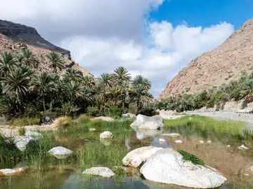 Photo of Wadi Bani Khalid natural swimming pools