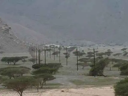 صورة وادي خصب