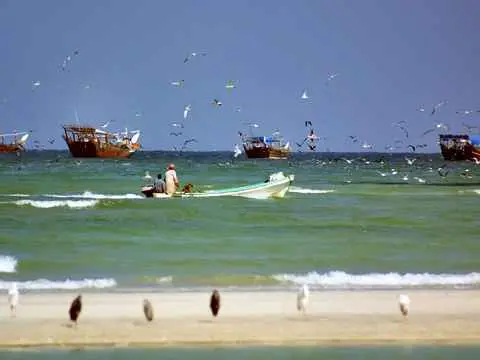Photo of Duqm Beach