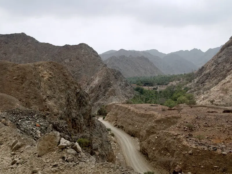 صورة مدحاء