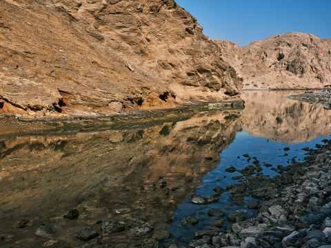 Photo of Yenkit (Yankit)
