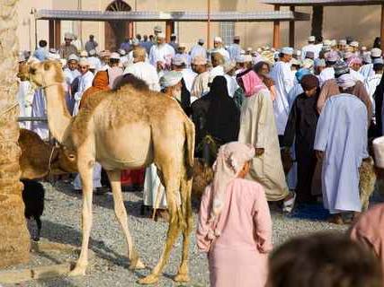 Photo of Nizwa Friday Goat & Cattle Market