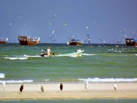 Photo of Duqm Beach