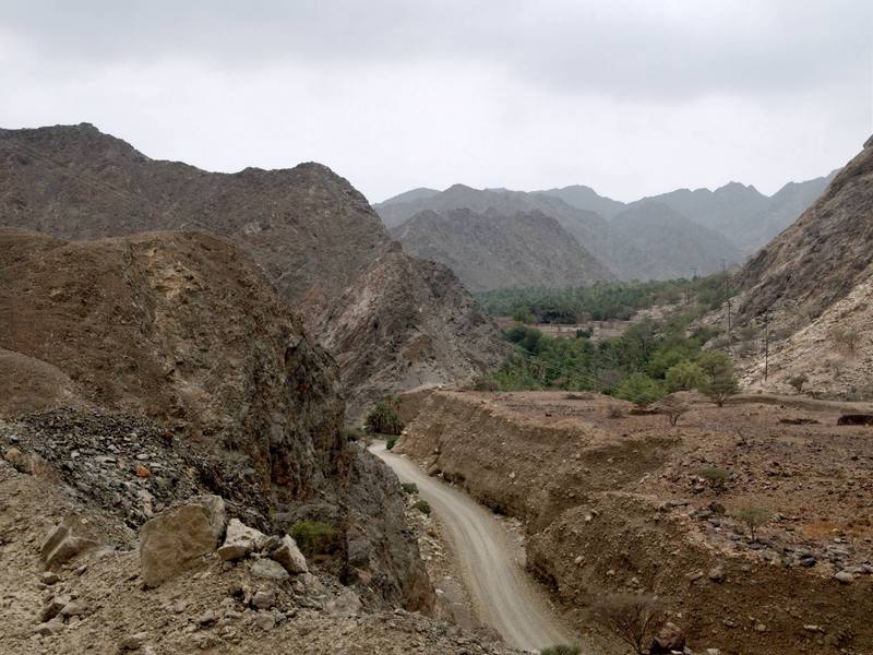 صورة مدحاء