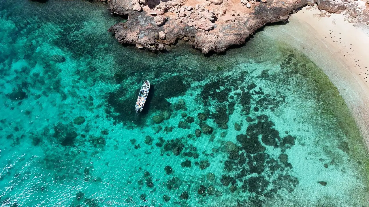 Dimaniyat Islands Trip (Half Day)