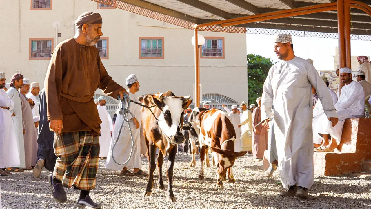 Explore the Beauty of Nizwa