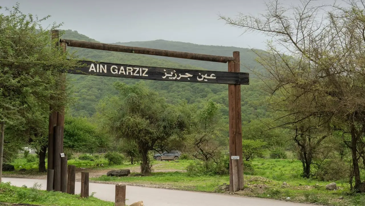 Full-day Jebel Safari West (8 hours)