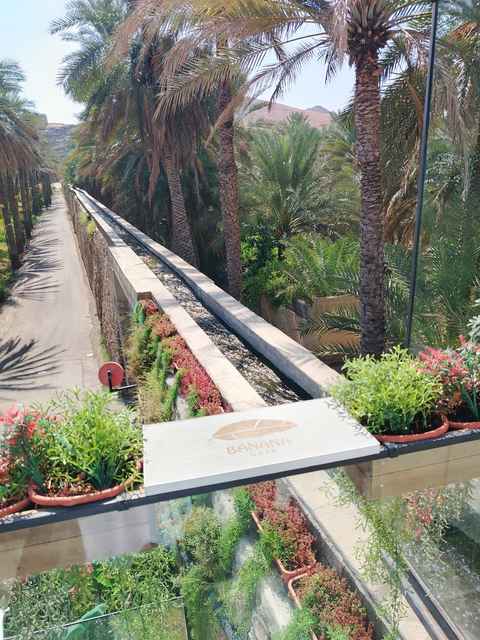 Main tour image for Nizwa 