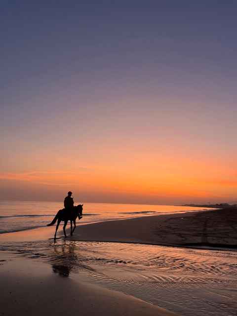 Main tour image for Horseback riding on the beach 🌅🏇🏼