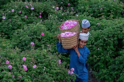 Main tour image for Al Jabal Al Akhdhar Rose Track 🌸