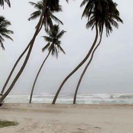 Main tour image for A tour in the city