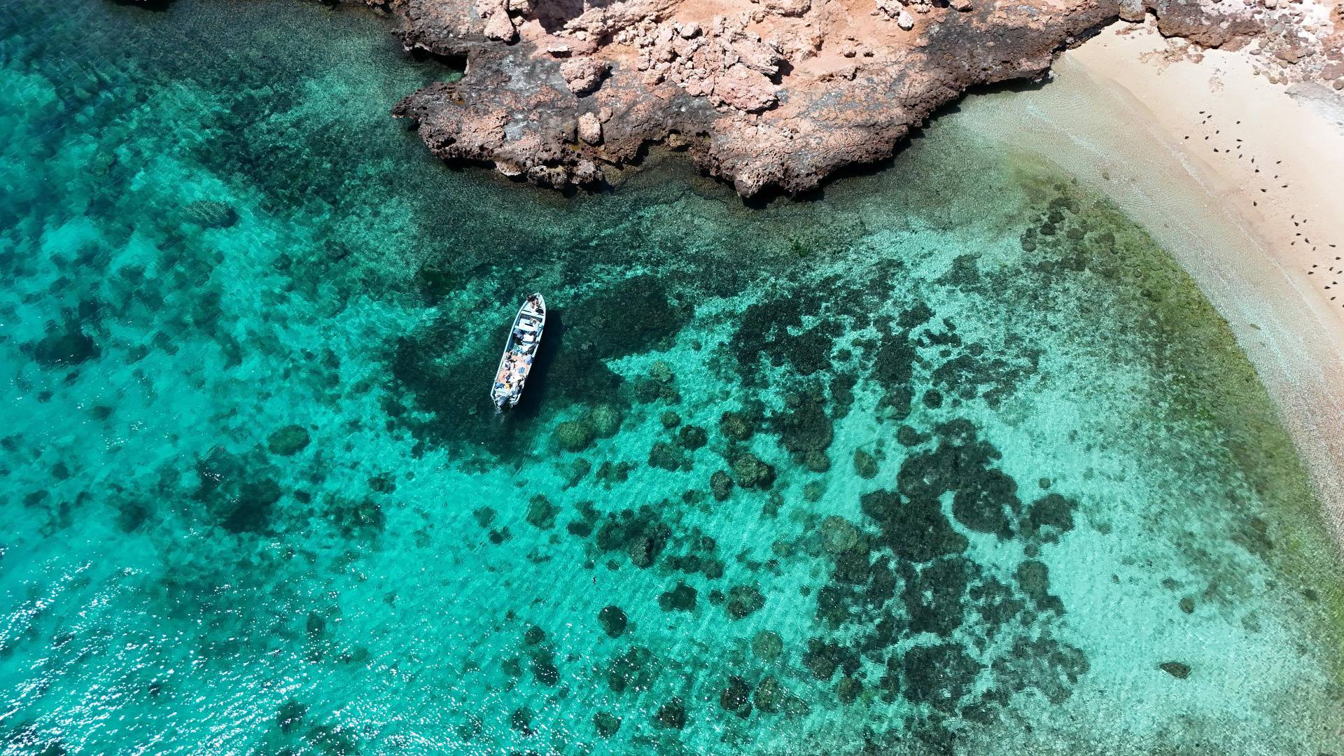 Main tour image for Dimaniyat Islands Trip (Half Day)