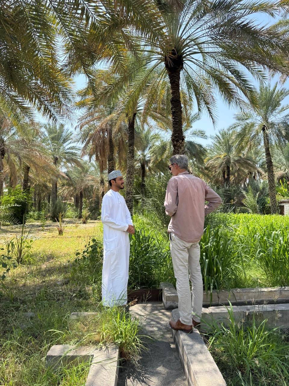 Main tour image for Explore the Beauty of Nizwa