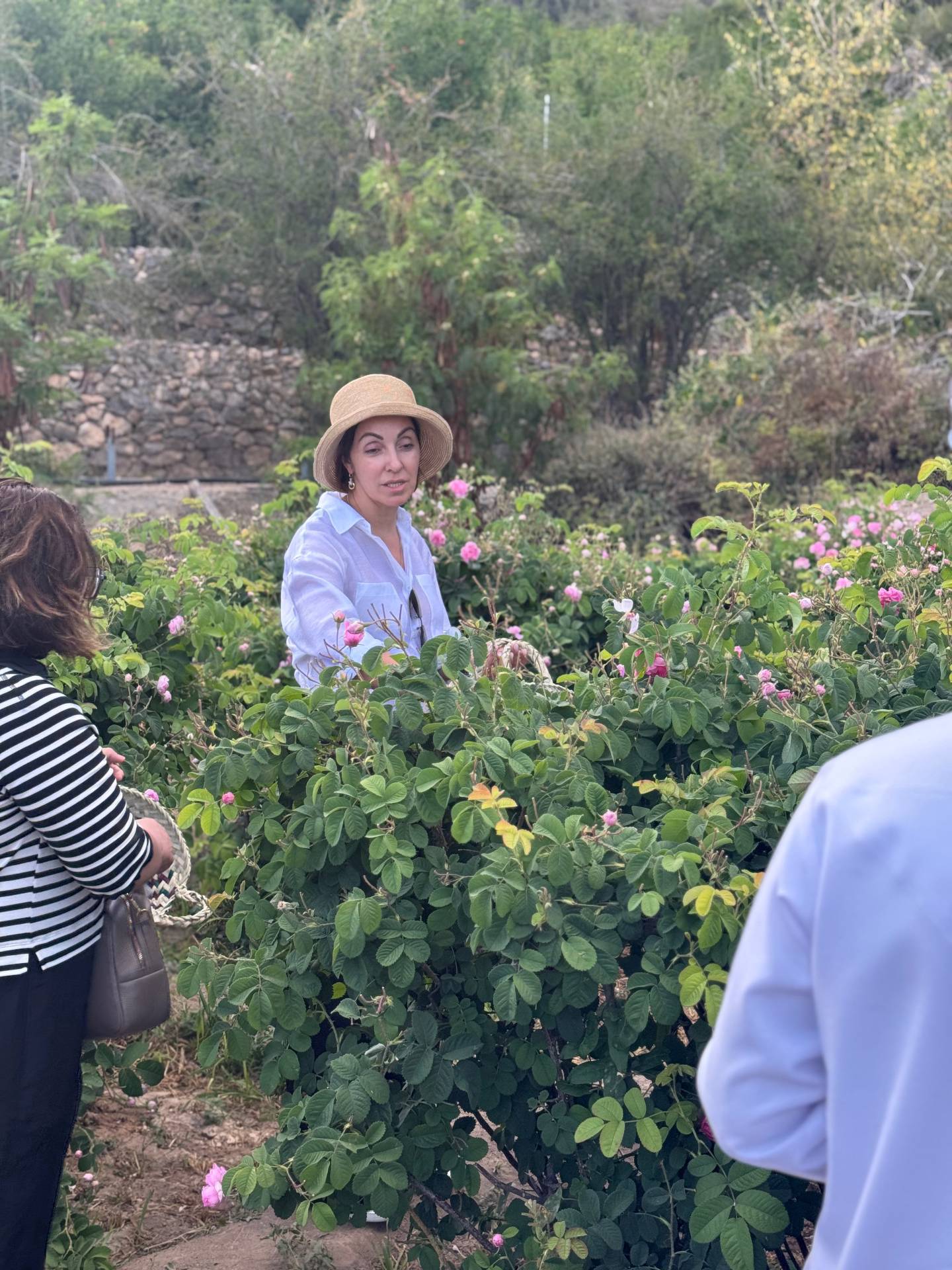 صورة الجولة