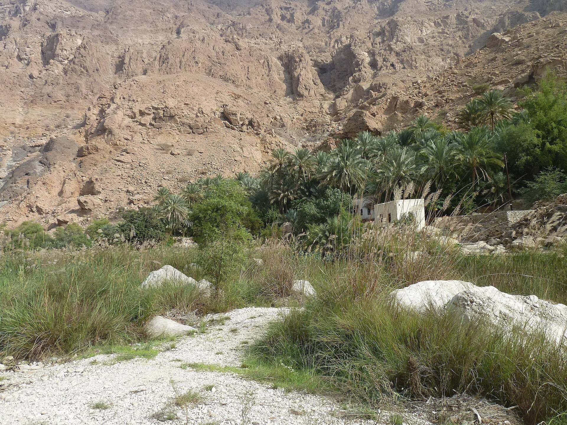 صورة وادي تيوي