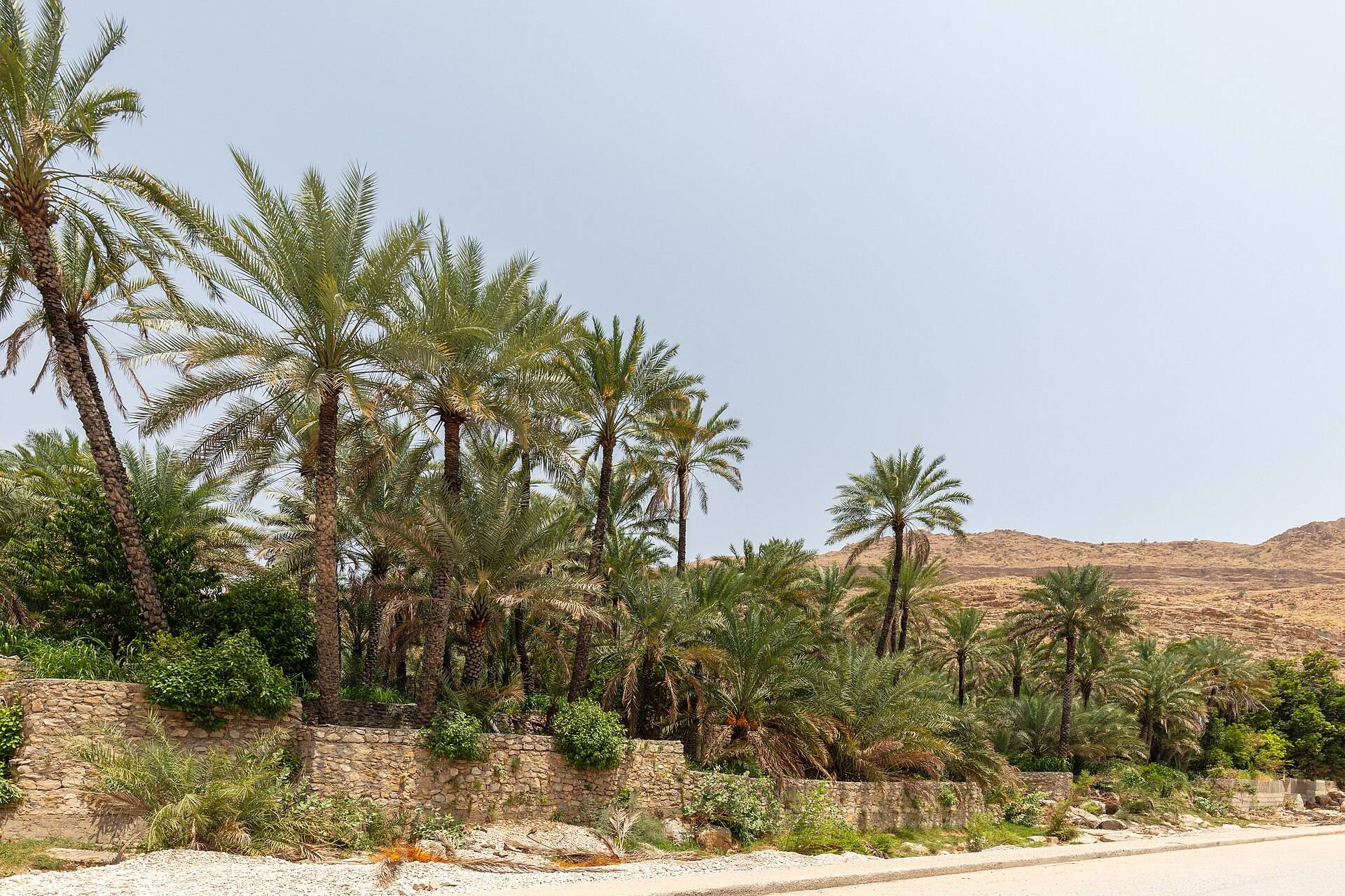 Hiking trail image